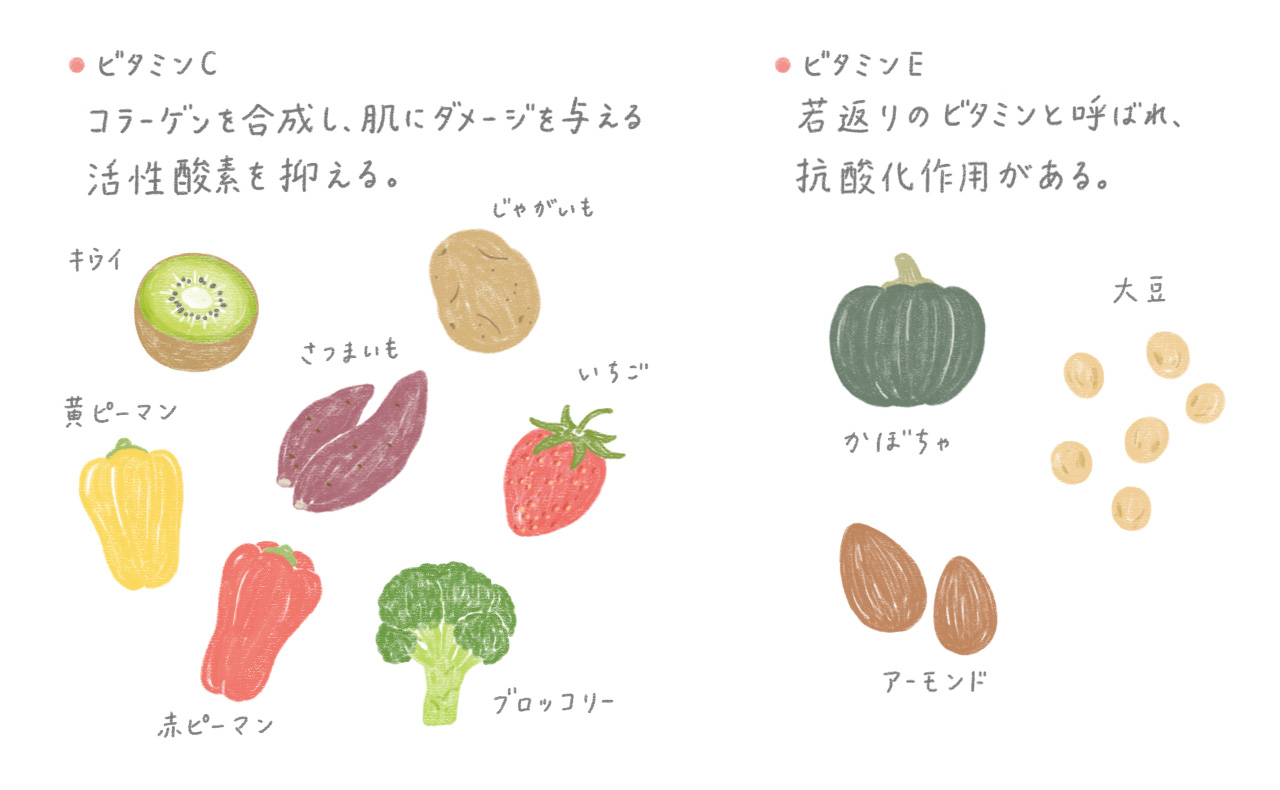 ビタミンC コラーゲンを合成し、肌にダメージを与える活性酸素を抑える。ビタミンE 若返りのビタミンを呼ばれ、抗酸化作用がある。